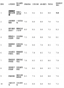 短：缺乏公司化的设想和项目办理